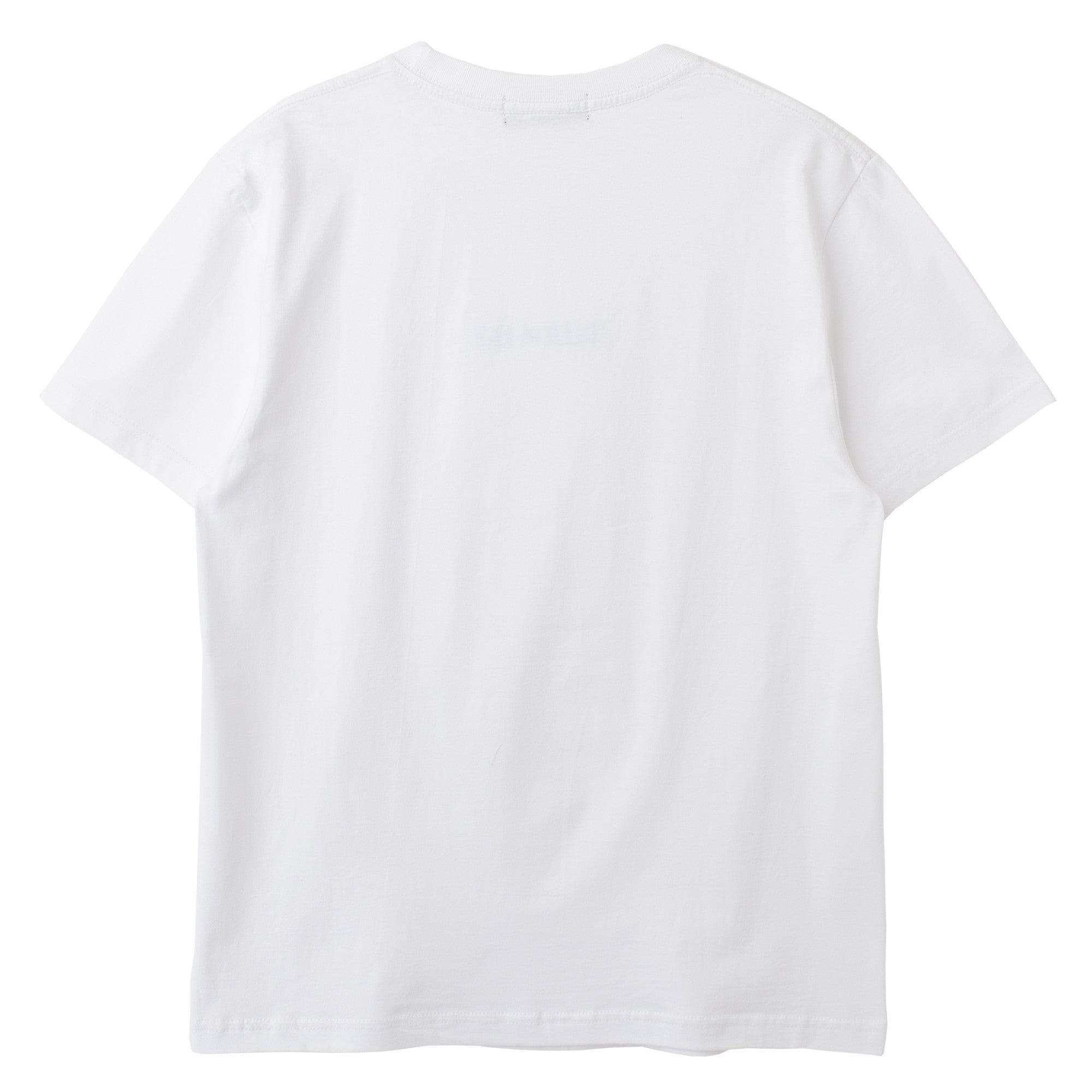 HILLTON RICH(ヒルトンリッチ）メンズ カットソー 小ロゴ刺繍Tシャツ　white×turquoise